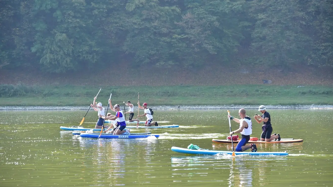 Stand-up paddleboarders paddling along a beach